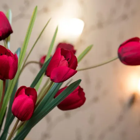 Family Prestige מלון 3*