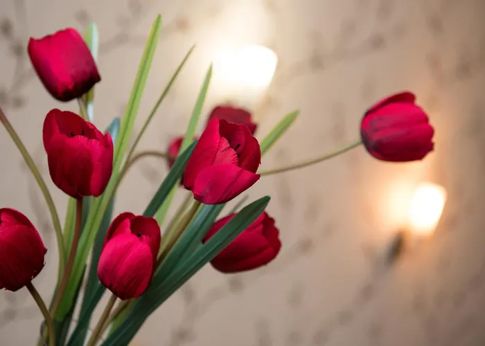 Family Prestige 호텔 3*